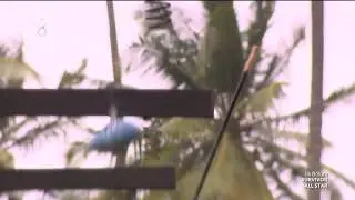 Survivor All Star - Ödül Oyunu 2.Bölüm