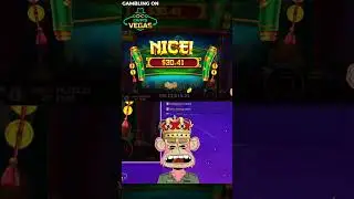 Unveiling the Best Bitcoin Casinos: Bonus Guide, Top Games, and Free BTC Casino in USA & Canada