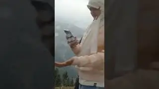 starting first snowfall #kashmir #sinthantop #pahalgam #miniswitzerland #offbeat #nature #shorts