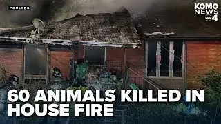 Upwards of 60 animals killed in early-morning blaze in Poulsbo at breeder's home
