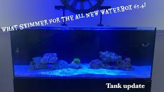 What skimmer for the all new waterbox 65.4? Tank update
