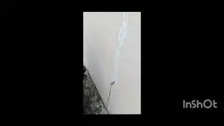 Old Building External wall & Terrace leakage Waterproofing /RKT Waterproofing System/ Call9025729796