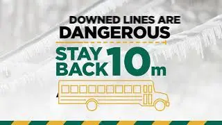 What to do if you spot a downed powerline