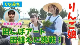 映画「いとみち」田んぼアートを作りに行きました！