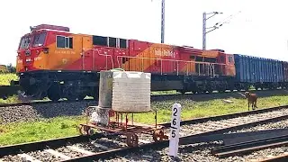 High speed WAG9 V/S WDG4G with BCN wagon rake.