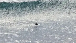 The Pleasure & Pain Of Surfing Uluwatu - 29 May 2021
