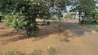 నీలకొండపల్లి బౌద్ధ స్థూపం  పూర్తి వివరణలు.
