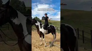 No one should be training horses unless they can do this ONE thing: #horsetrainer #horsetraining