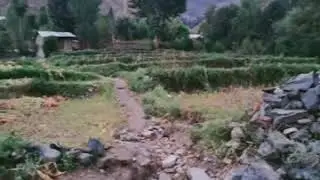 Beauty of Chitral Valley (Darosh) Pakistan