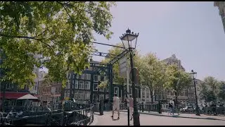 The Student Broker | The Experience