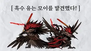 [림버스 컴퍼니] 닭들은모든걸쪼아