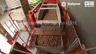 Tolsma Grisnich TG 18 kistenvuller met automatische stapelaar