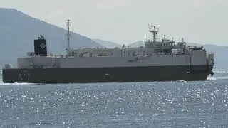 Ro Ro Cargo NICHIHARU MARU 9 2025