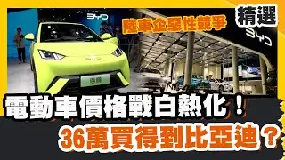 電動車價格戰白熱化！台幣36萬買得到比亞迪？ 陸車企惡性競爭【#優選話題】#比亞迪 #電動車 #價格戰