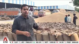 Indian farmers worry about US push to export dairy, grains into Indian market