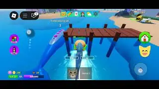 Roblox kitten game new hacks