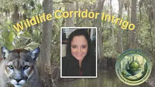 SSEEE Wildlife Corridor Intrigo 2025