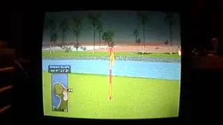 TV Games Reviews #57: Jakks Pacific Golden Tee Golf (2011 Edition)