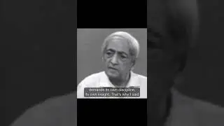 Freedom from pleasure and pain | Krishnamurti #shorts