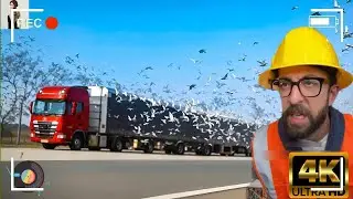#2 Lustigste Baustellenarbeiter Compilation #adamrose #construction #workers