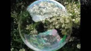☽Moon Maiden Magick-Return to Innocence