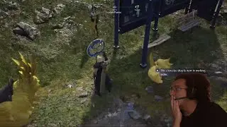 PUNISHED FOR NOT PETTING CHOCOBOS BY STREAM DISCONNECTION | Final Fantasy 7 Rebirth part 7