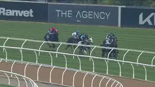 Canonbury Stakes 2026 - HIDRIX (2YO G3 SWP CG) Group 3 Rosehill 31 January #horseracing