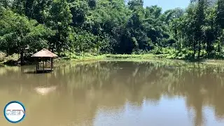 KA ECO TOURISM PARK HA UMLYNGKDAIT TASKU KABA ITHIANG BA 1 KLUR, KHAP RIBON U MYNTRI SORKAR