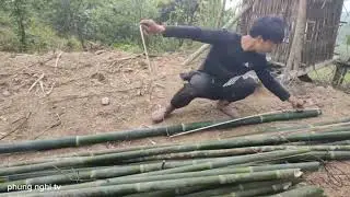 Building a bamboo house, living alone in the wild, mysterious mountains.