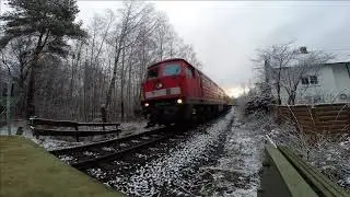 Man h&ouml;rt sie schon von weitem die Ludmilla