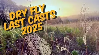Финал сезона ловли форели 2025 г. I Ловля дикой ручьевой форели на сухие мушки в последние дни.