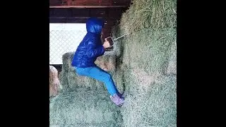 Daily Chores Being Done at Oak Meadows Ranch Horse Rescue / Sanctuary What It Really Looked Like