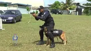 Canine Unit Tactical and Detection Display