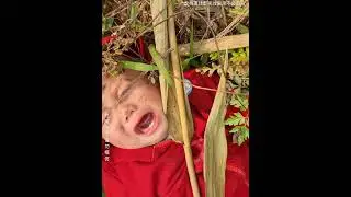 可怜的孩子，不小心掉下了山坡农村生活可怜的孩子让人心疼记录农村生活越南农村