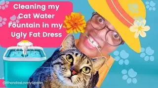 WATCH MY CAT REACT TO THIS