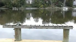 Build a Dock Bench with 84 Lumber