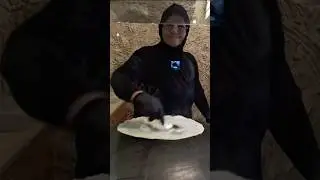 This Abou Saj Bread Hit Different 🇶🇦 #qatar #doha #streetfood #middleeast #viral #shorts #reels