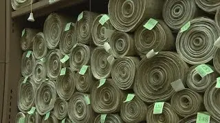 UK laws are traditionally written on animal skin, but they could be switching to paper