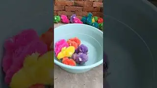 Feeding Baby Chicks 🐤 Cute Colorful Chickens 🌈🐔