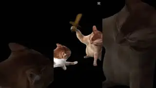 Mincraft
