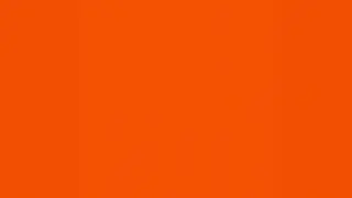 Tangerine Orange Screen - No Sound (5 Hours)