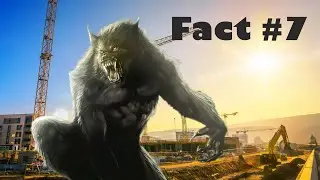 10 DOGMAN Facts You Didn't Know