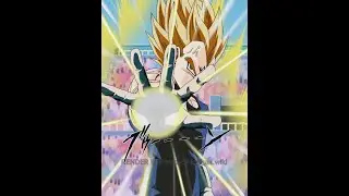LR STAND BY SKILL MAJIN VEGETA FINISH SKILLS AND HERCULE SUPER ATTACK ANIMATIONS | DBZ Dokkan Battle