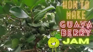 How To Make Guava Berry Jelly