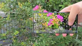 You can always trust Samsung's imaging capabilities! Digital Technology Samsung Samsung S23Ultra