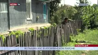 В Иловлинский район проник вирус африканской чумы