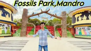 FOSSIL PARK MANDRO 🌋| Tourist Place in Jharkhand | Yogi Bhaiya #fossils #yogibhaiya #jharkhand