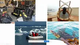 William Halliday | Arctic Conservation Scientist