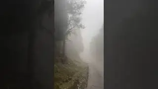 #sikkim #ravangla #foggyroads #siliguri #drspdeyy
