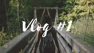 Channel Trailer Vlog Cat #1